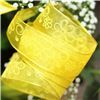 Order  Summer Breeze Ribbon - Sheer Gold